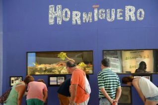 Hormiguero_Museu