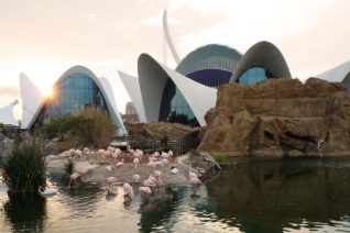 noticia_Oceanogràfic-València-edificios